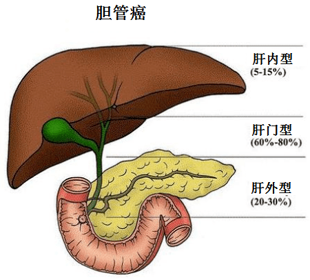 血管瘤圖片