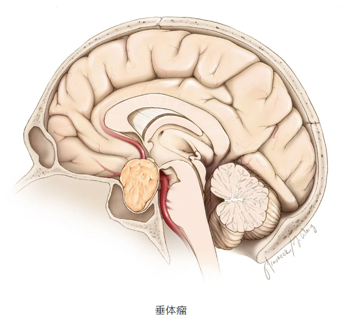 1700633152747.png